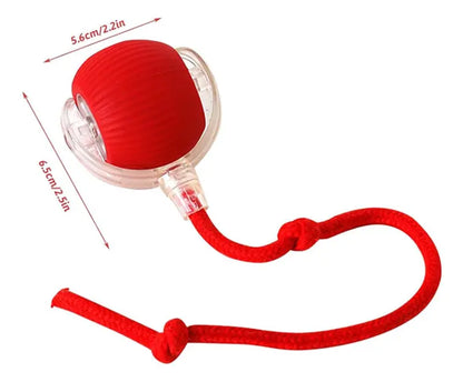 Fast Ball interactiva