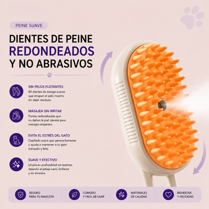 Pack Gatitos