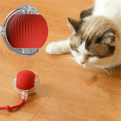 Fast Ball interactiva