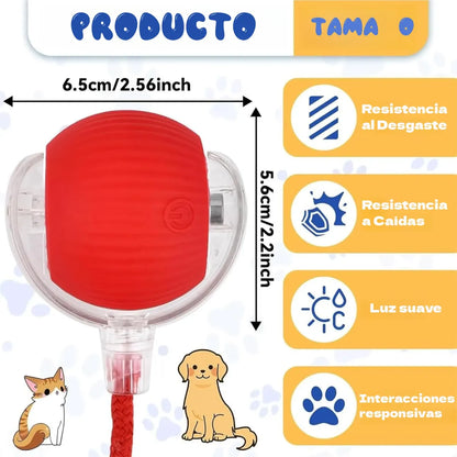 Fast Ball interactiva