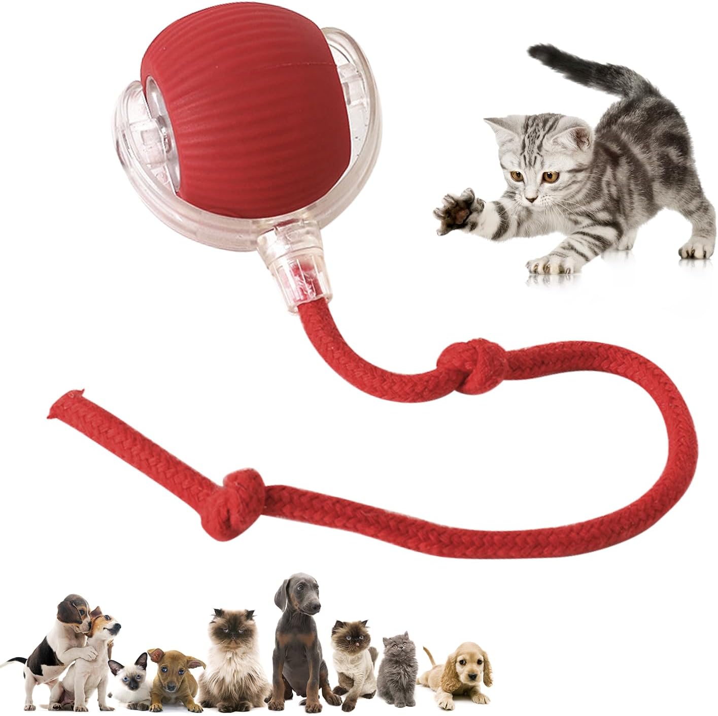 Fast Ball interactiva