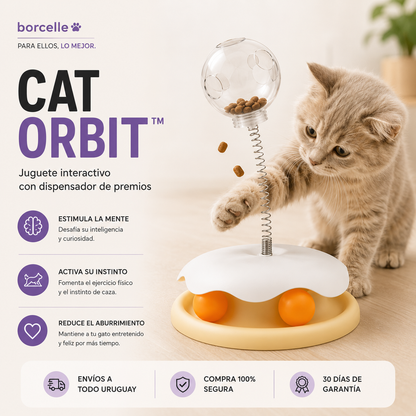 Cat Orbit