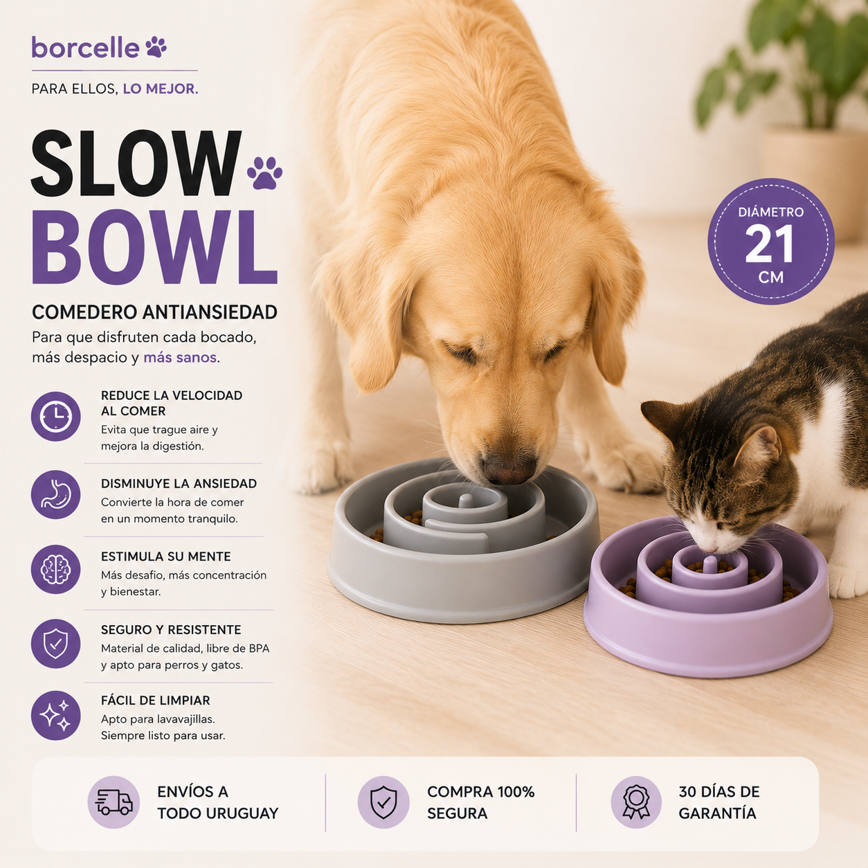 Slow Bowl