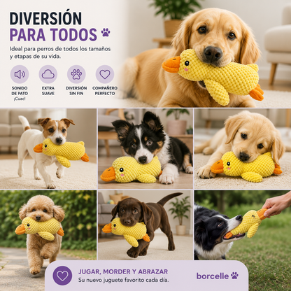 Duck Plush