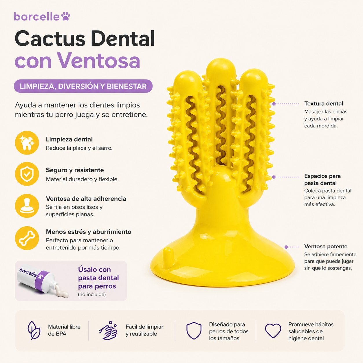 Cepillo Dental
