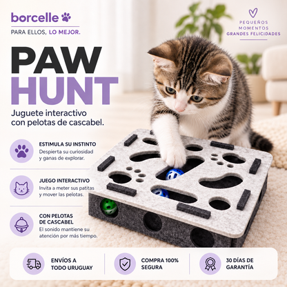 Paw Hunt