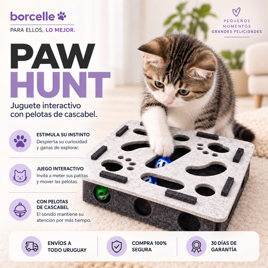 Paw Hunt