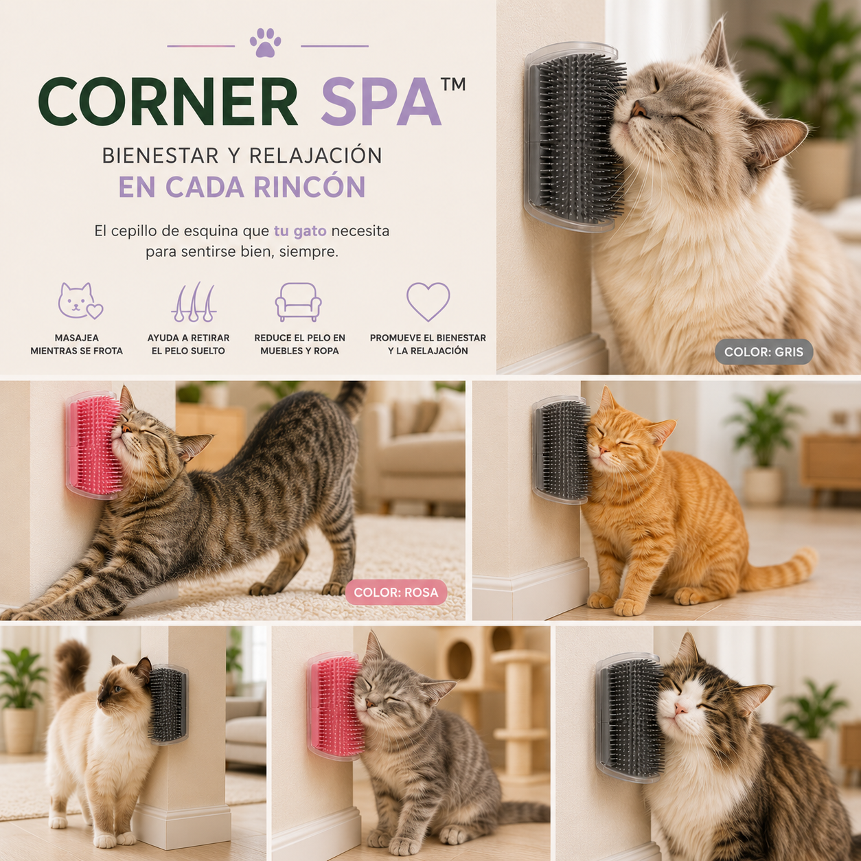 Corner Spa