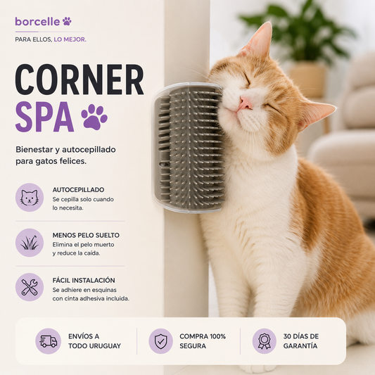 Corner Spa
