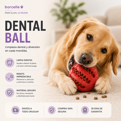 Dental Ball