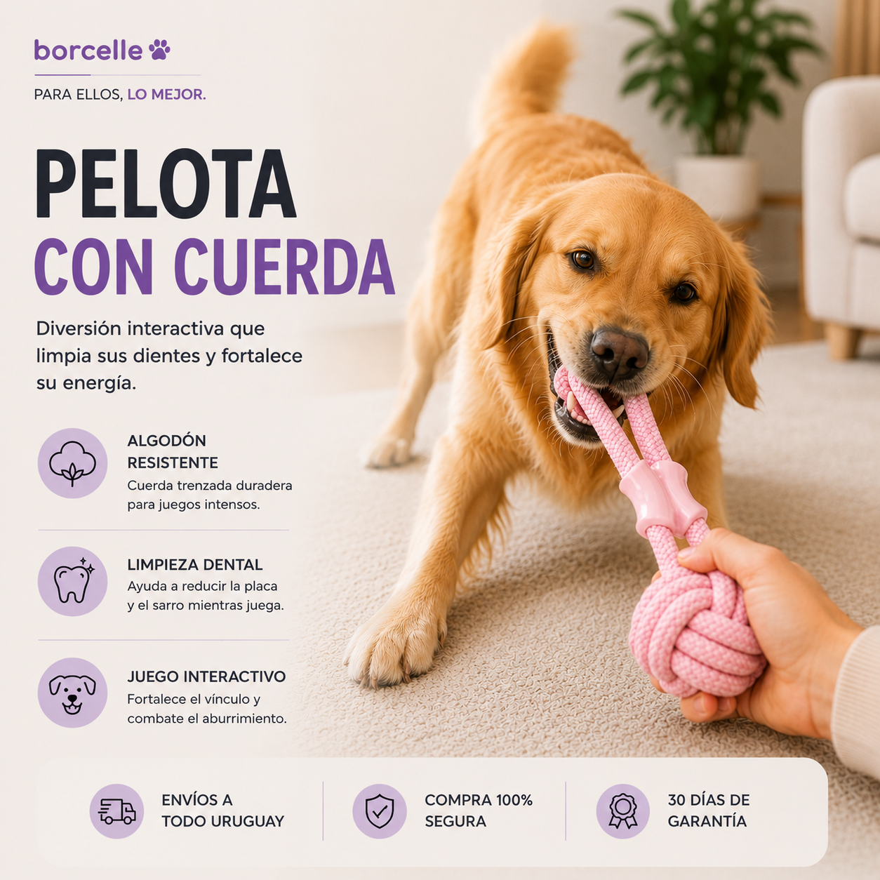Pelota con Cuerda
