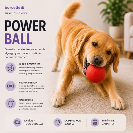 Power Ball