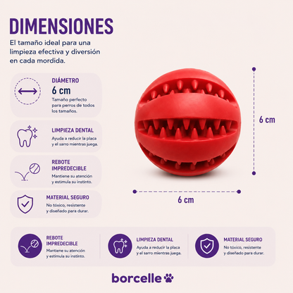 Dental Ball