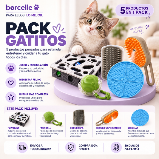 Pack Gatitos