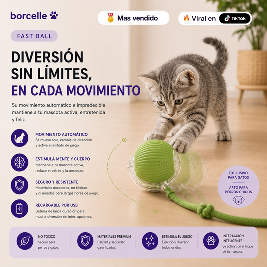 Fast Ball interactiva