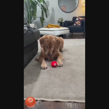 Pelota inteligente